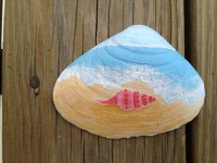 pink shell